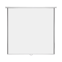 Super View 70 x 70 Inch Electric Projector Screen